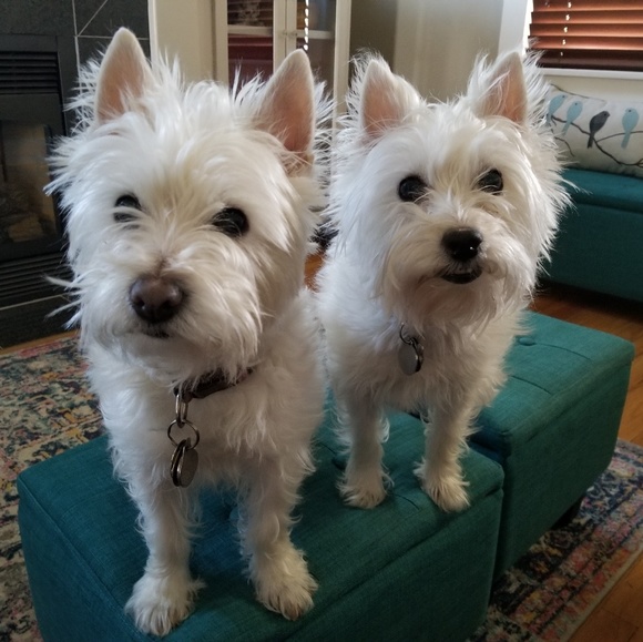 Meet your Posher, Kate - Picture 2 of 3